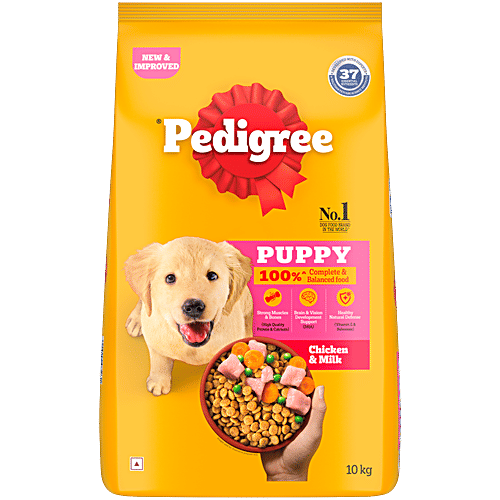 Tampons Dog Eats Puppy Pad Tampon Dog Ate A Pad My Dog Ate A Maxi Pad