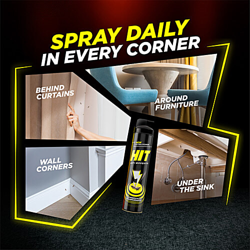 Hit Mosquito & Fly Killer Spray 200Ml