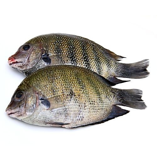 Buy fresho! Pearl Spot Fish - Medium, Cleaned & Whole Online at Best ...