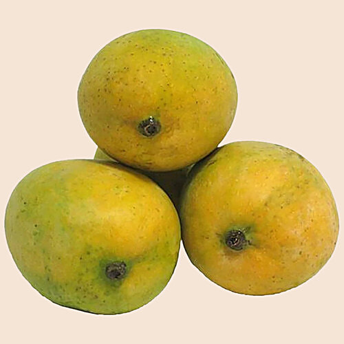 Buy fresho! Amrapali Mango Online at Best Price of Rs 89 - bigbasket