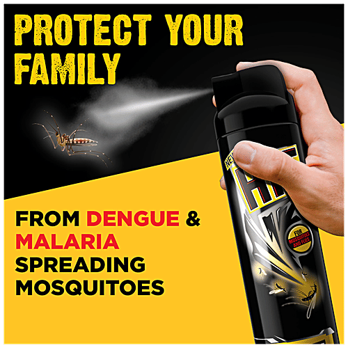 Hit Mosquito And Fly Killer Spray 625Ml