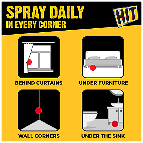 Hit Mosquito And Fly Killer Spray 625Ml