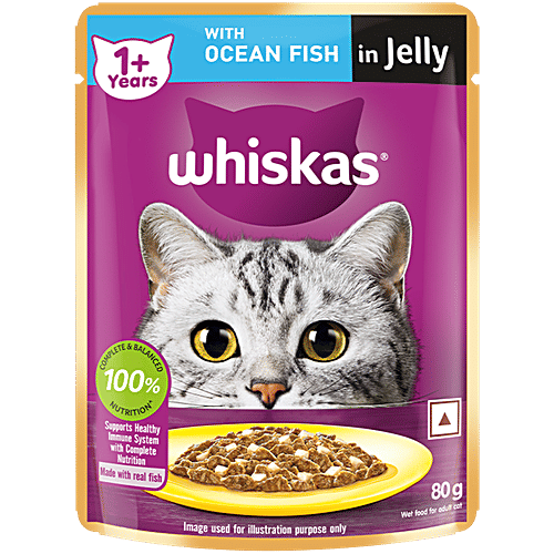 Buy Whiskas Pet Food Ocean Fish 85 Gm Online At Best Price of Rs