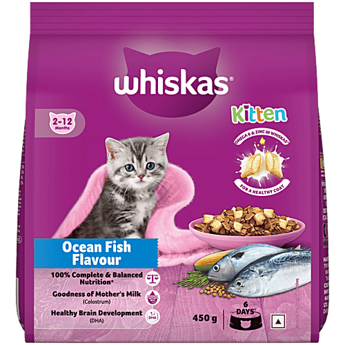 Nutrition Can I Feed My Cat Yogurt Cat Diarrhea Treatment: What To