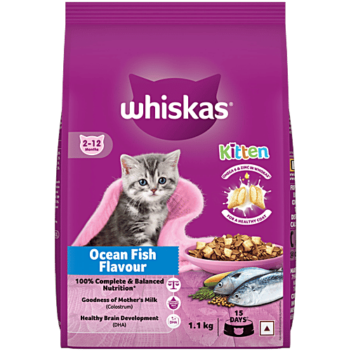 Best Cheap Affordable Cat Food Best Dry Cat Best Wet Cat Food For