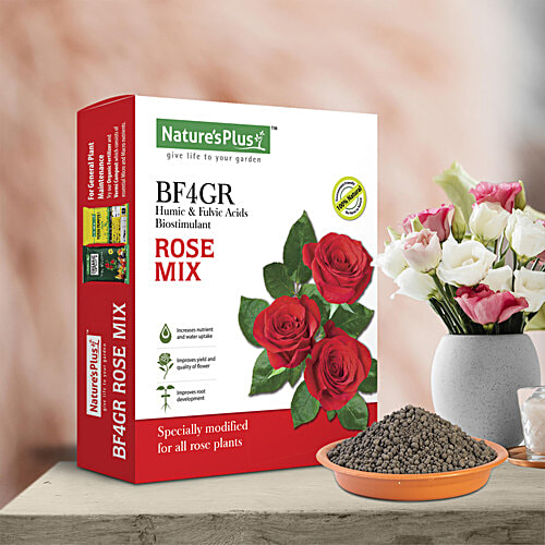 40008598_14-natures-plus-rose-