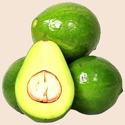 Buy fresho! Avocado - Organically Grown Online at Best Price of Rs