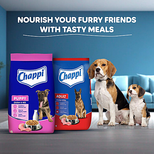 Pet Supplies Chappie Tinned Dog Food Best Price Pet Supplies