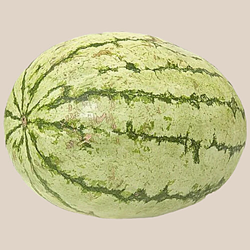 Regular Watermelon Buy fresho! Striped Watermelon Online at Best Price of Rs 999 - bigbasket