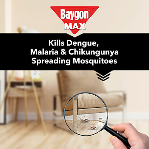Baygon Max Lime Mosquito & Fly Killer Spray 400Ml