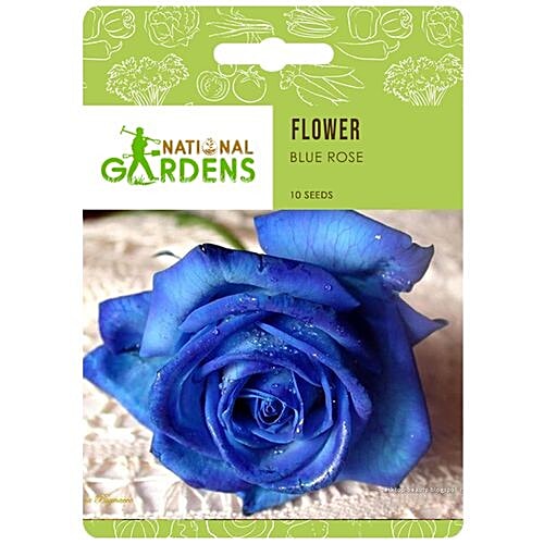 Buy National Gardens Blue Rose Flower Seeds Online at Best Price of Rs null  - bigbasket