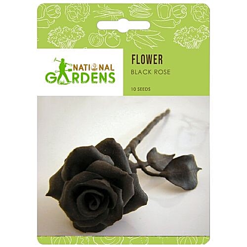 Buy National Gardens Black Rose Flower Seeds Online at Best Price of Rs  null - bigbasket