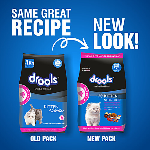 Drools Ocean Fish Kitten Cat Dry Food, 1-12 Months, kg