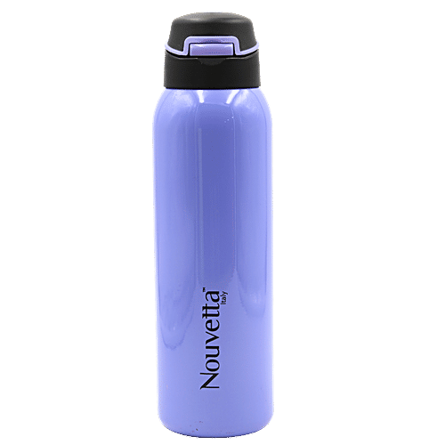 Buy Nouvetta Pepola Double Wall Steel Bottle Purple Online at