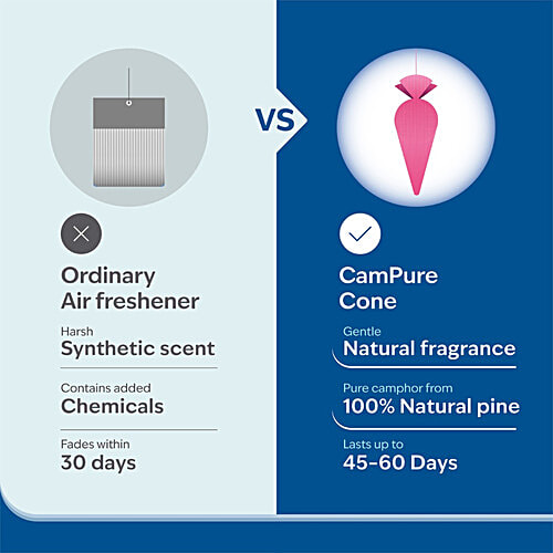 Campure Jasmine Camphor Cone Air Freshener 60G