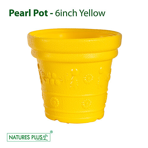 Buy Natures Plus Pearl Pot - 15 cm , Yellow Online at Best Price