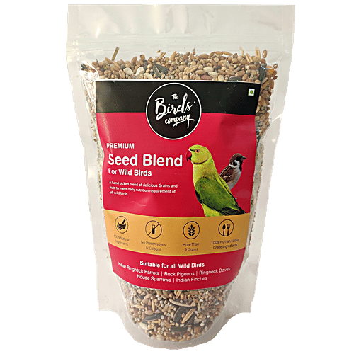 Buy The Birds Company Bird Food - Premium Seed Blend Of 9 Grains