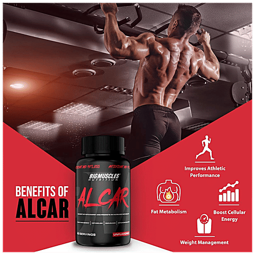 acetyl l carnitine fat burner Evolite Nutrition Acetyl-L-Carnitine + Green Tea – Fat Burner & Metabolism  Support main image 1