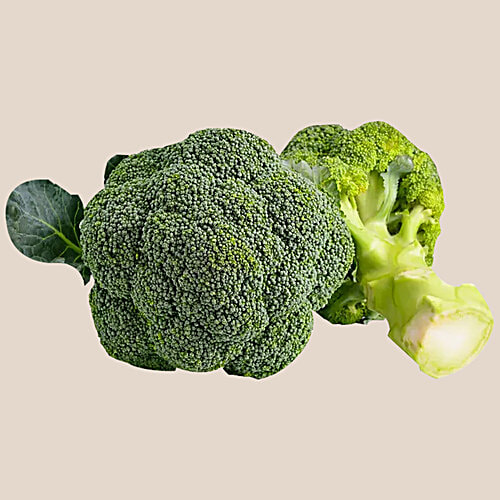 Buy fresho! Broccoli - Hydroponically Grown Online at Best Price of Rs ...