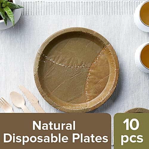 Eco Friendly Disposable Natural Paper Plates Biodegradable Paper