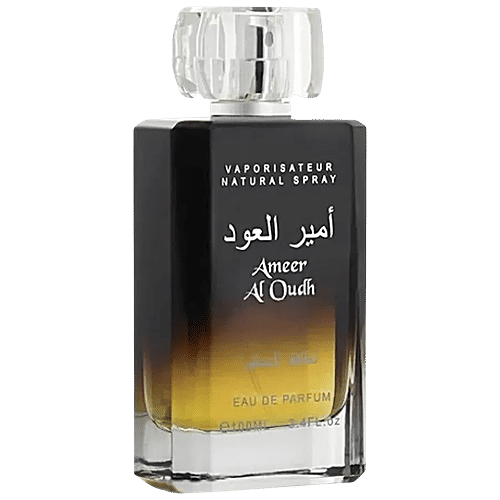 Perfume Brands Popular Men's Cologne 2000 Best Perfume Under