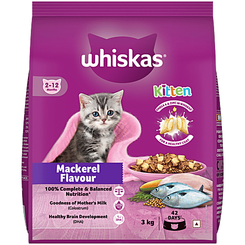 After Birth Why Would A Mother Cat Eat One Of Her Kittens Giving