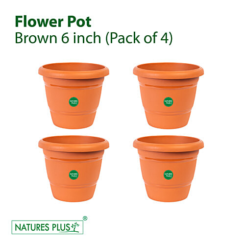 Buy Natures Plus Flower Pot 60 - Brown, Durable, Longlasting