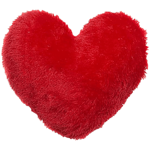 JBG Home Store Valentines Day Heart Shape Cushion Pillow Red, pc