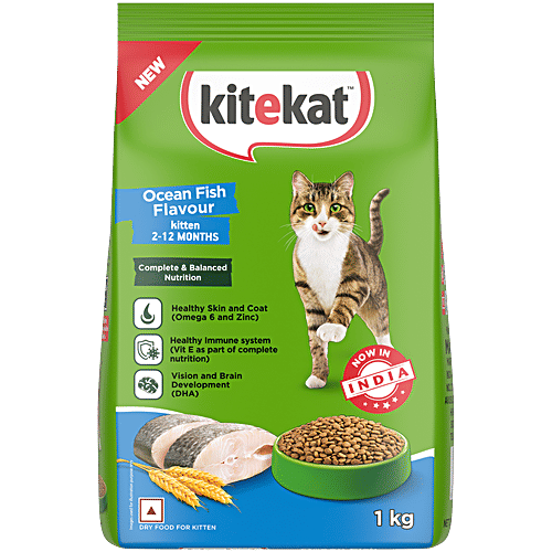 Kitten Food Best Healthy Cat Food Dry Royal Canin Feline Health