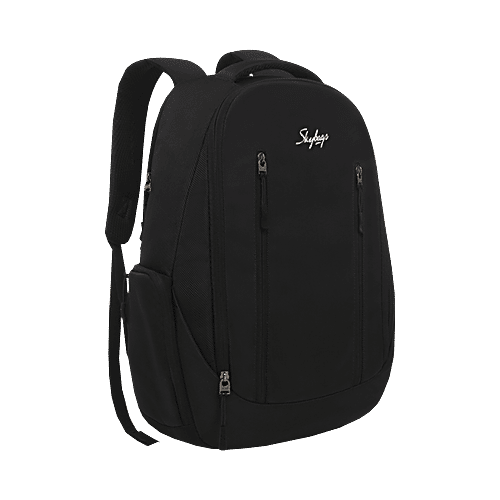 Computer Backpack Sky Bag For Laptop Skybags New Arthur 30 L