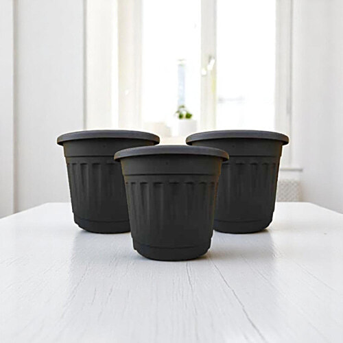 Buy Zamia Lightweight Garden Plastic Pots - Black Online at Best