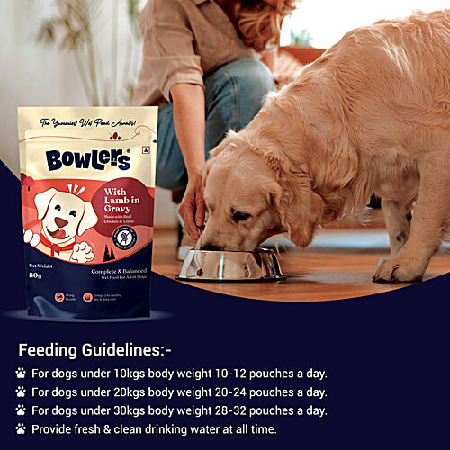 Buy Bowlers Lamb In Gravy Wet Dog Food For Adult Online at Best
