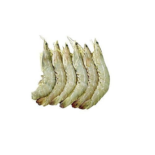 Buy Test Fish O Fish Prawn White Prawn Vellai Eral 1 Kg Buy Test Fish O Fish Prawn White Prawn Vellai Eral 1 Kg