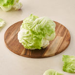 Iceberg