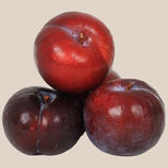 plum