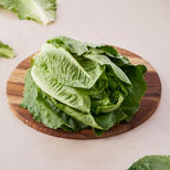 Romain lettuce