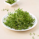 thyme