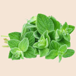 organo