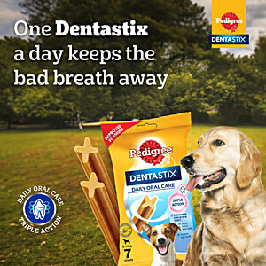 Commercial Pedigree Dentastix Dentures Dog On Pedigree Commercial