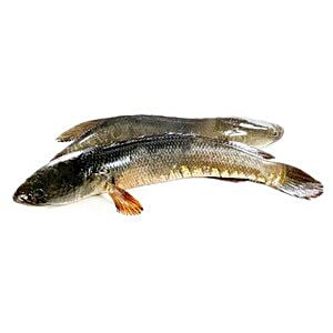 Get the best Sea Foods Online At Best Prices - bigbasket
