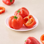 capsicum