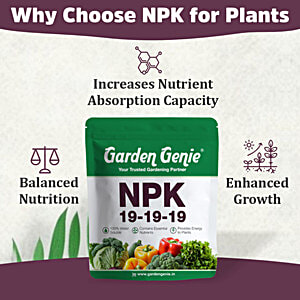 Buy Garden Genie NPK 19-19-19 Gardening Fertiliser For Plant Boost