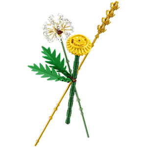 Buy LEGO Botanicals Field Flowers Building Kit 30701 Online at