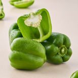 capsicum