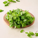 Mint - Organically Grown