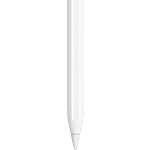 Buy Apple Apple Pro Pencil For iPad (Magnetically Attaches