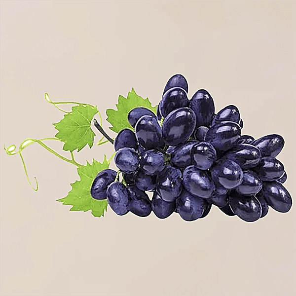 10000295_23-fresho-grapes-