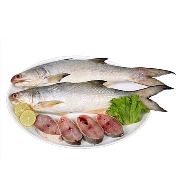 Salmon
