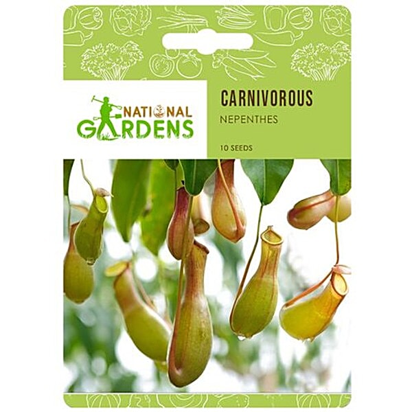 pitcher plant seeds Sarracenia purpurea purpurea Seeds main image 1