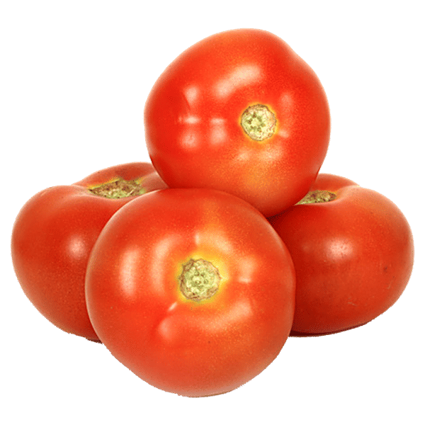 Tomatoさま専用 40183216_3-fresho-tomato-local.jpg